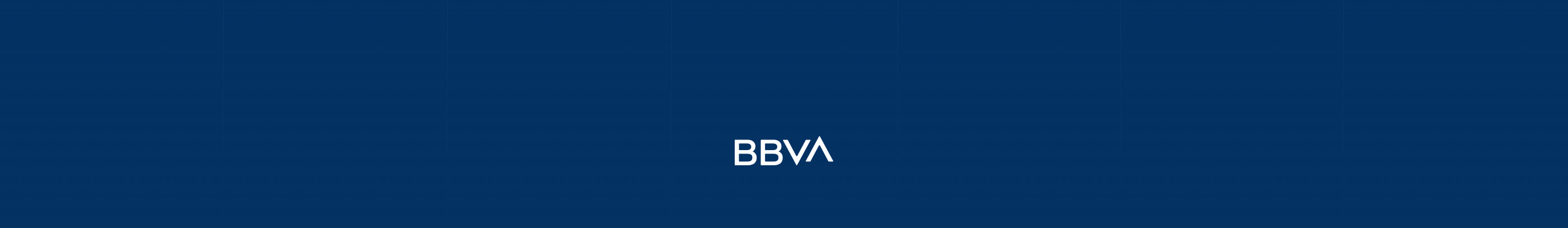 BBVA 17